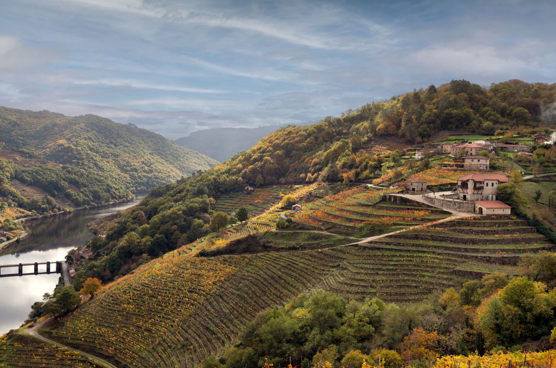 Vía Romana, mejor destino enoturístico gallego según la guía de Tim Atkin por Beth Willard